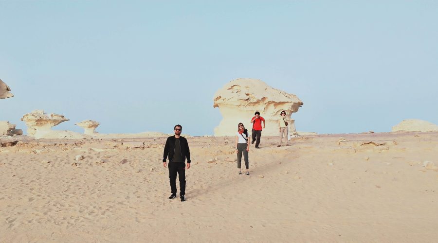 Explore Bahariya Oasis and White Desert from Cairo