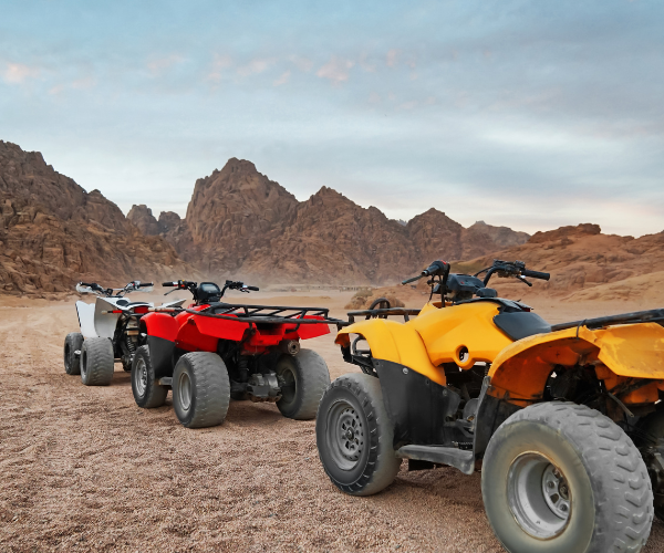 Adventure Quad Biking Tour in Dahab