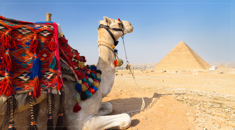 Day trip from Sharm el Sheikh to Cairo by plane