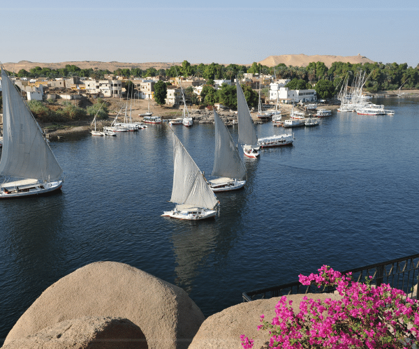Aswan Botanical Garden