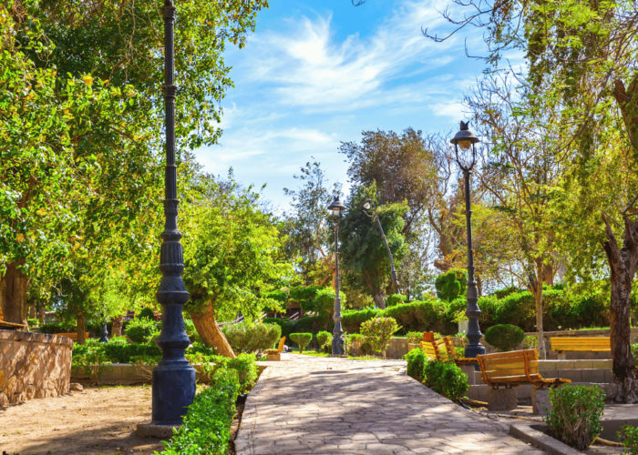 Aswan Botanical Garden - A Complete Guide for New Visitors