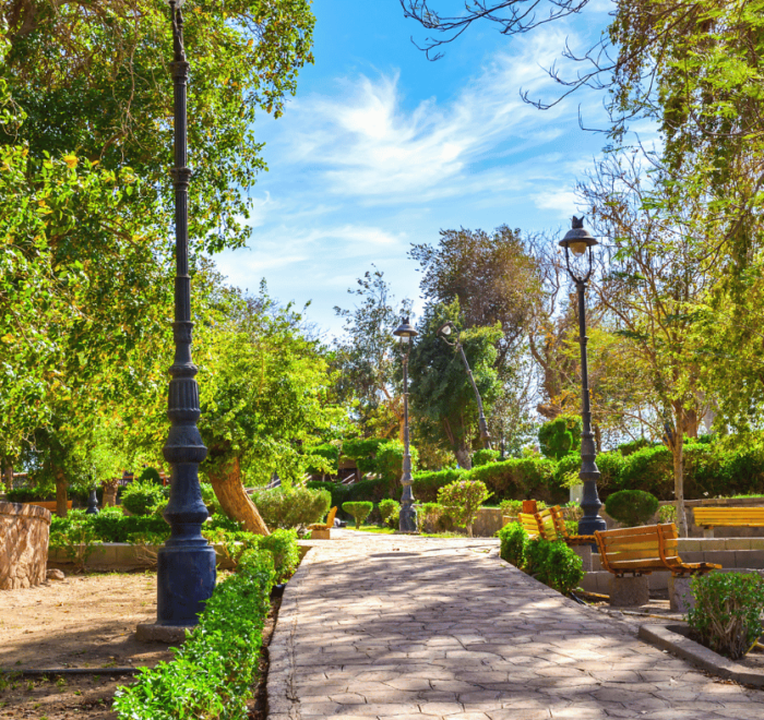 Aswan Botanical Garden - A Complete Guide for New Visitors