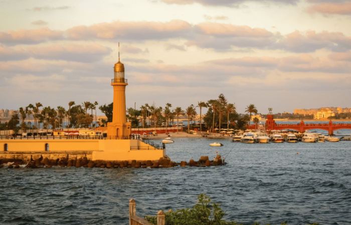 Day Trip from Cairo to Alexandria's Mediterranean Charms