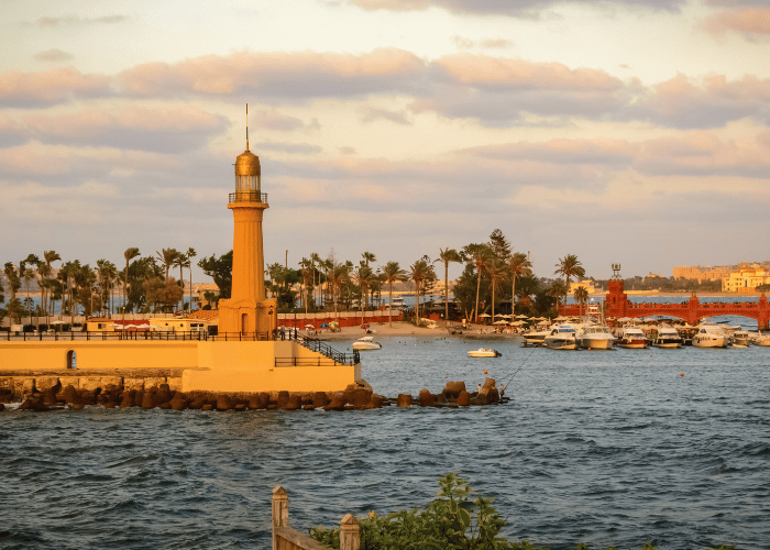 Day Trip from Cairo to Alexandria's Mediterranean Charms
