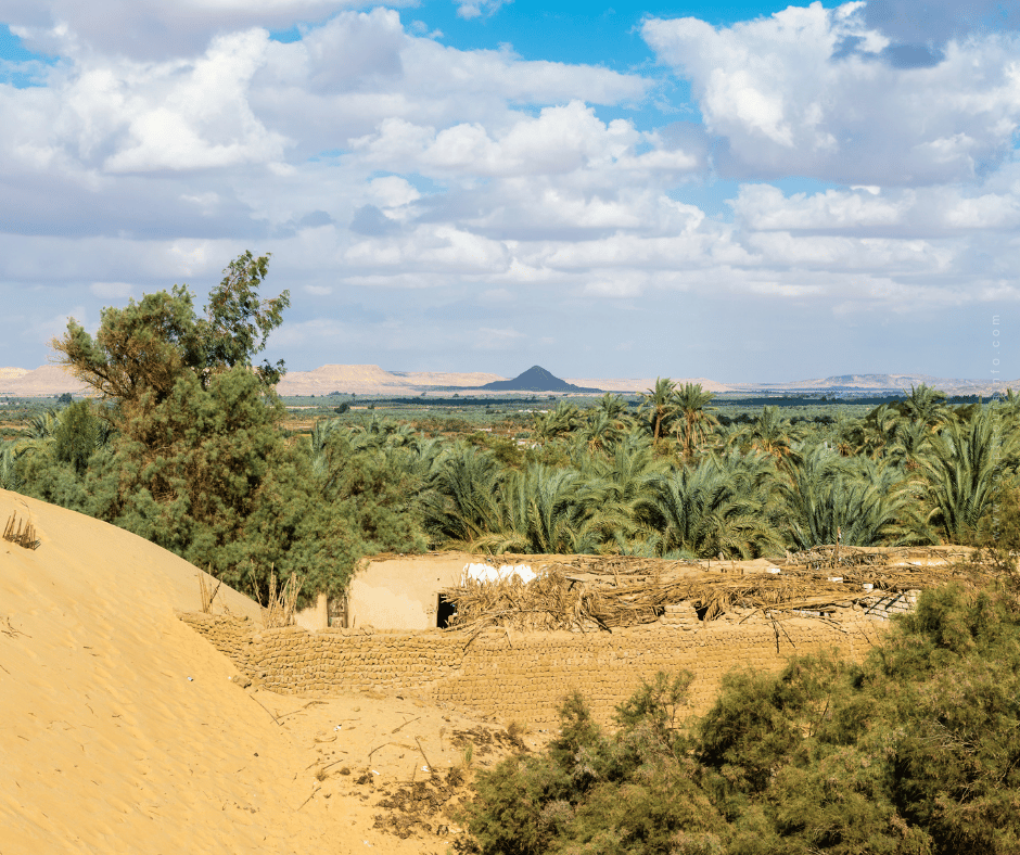 Bahariya Oasis - Everything You Need to Know to Plan Your Visit