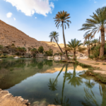 Farafra Oasis - A Complete Guide for New Visitors