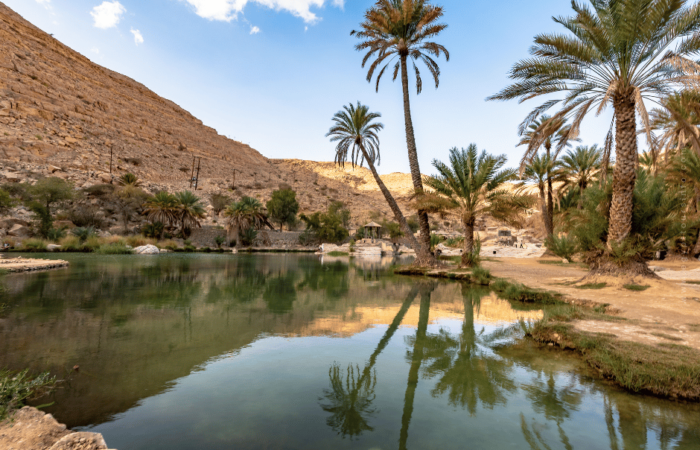 Farafra Oasis - A Complete Guide for New Visitors