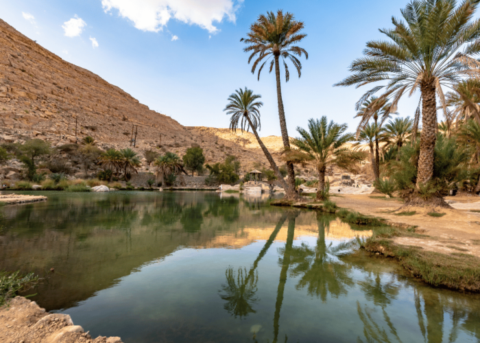 Farafra Oasis - A Complete Guide for New Visitors