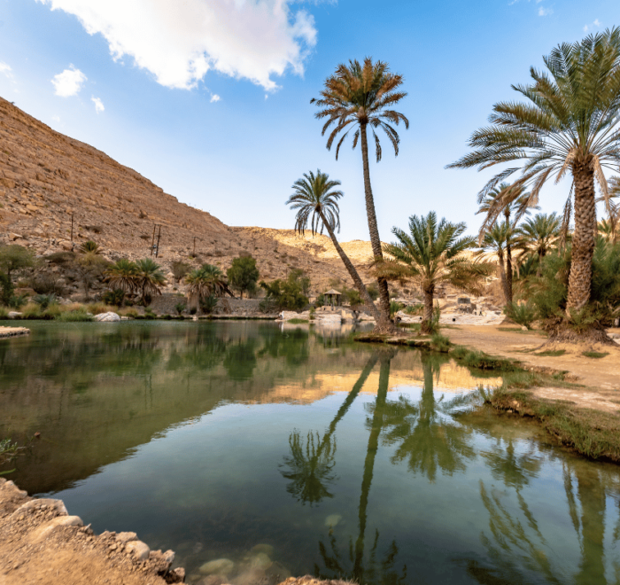 Farafra Oasis - A Complete Guide for New Visitors