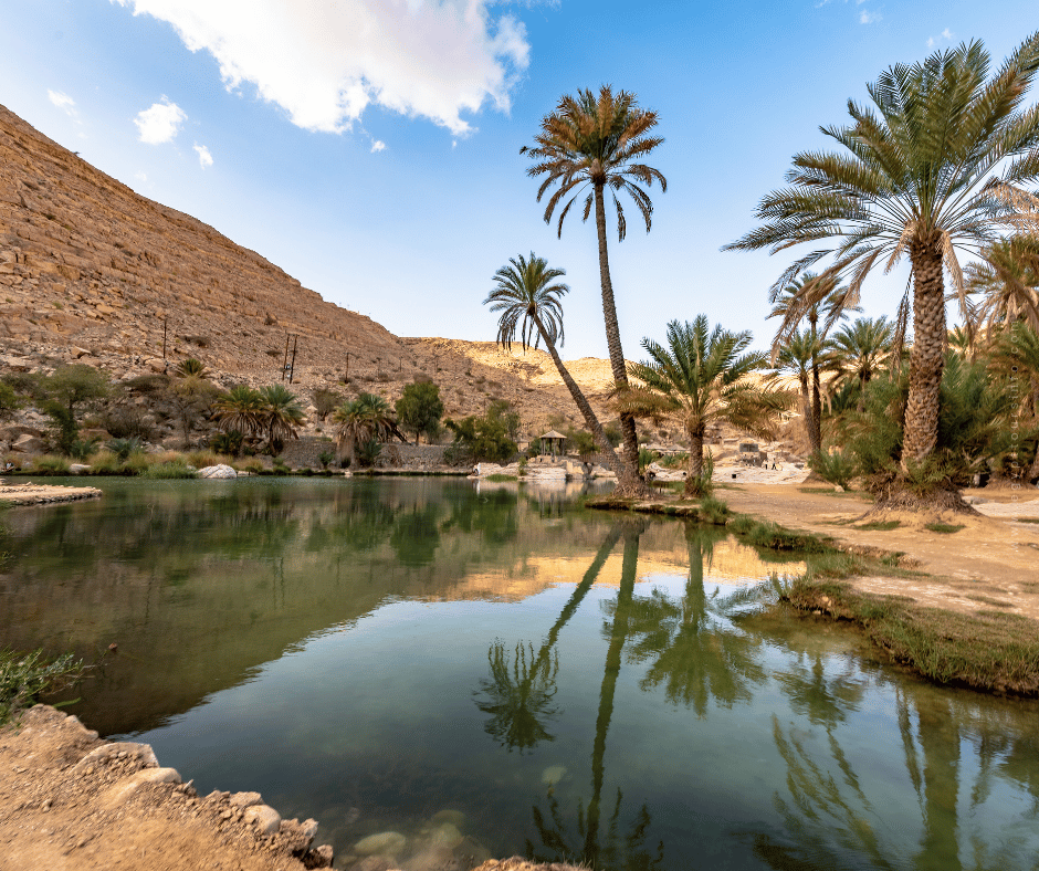 Farafra Oasis - A Complete Guide for New Visitors