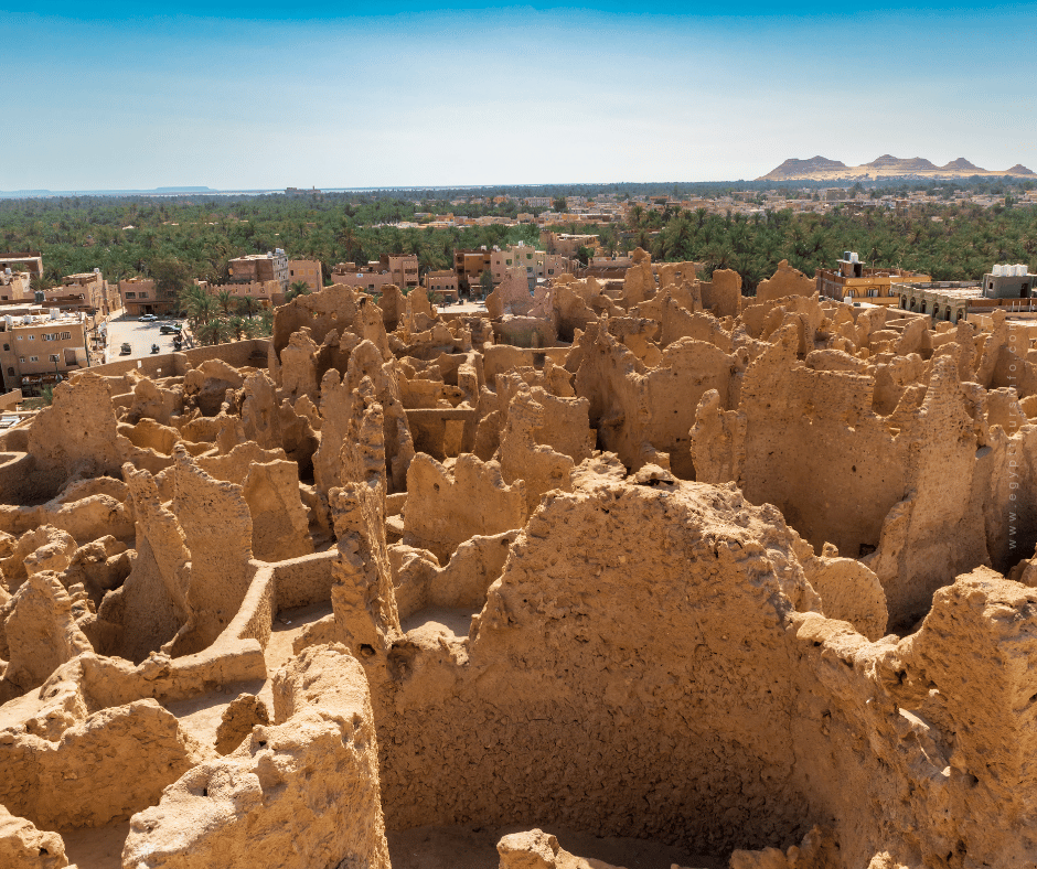 Siwa Oasis - A Complete Guide for New Visitors