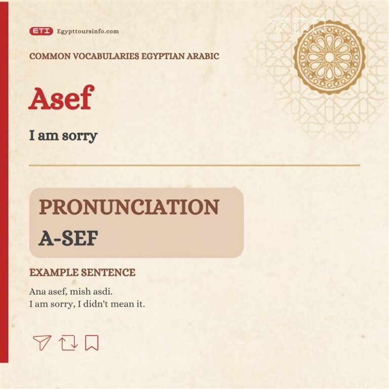 Asef – I'm sorry in Egyptian Arabic