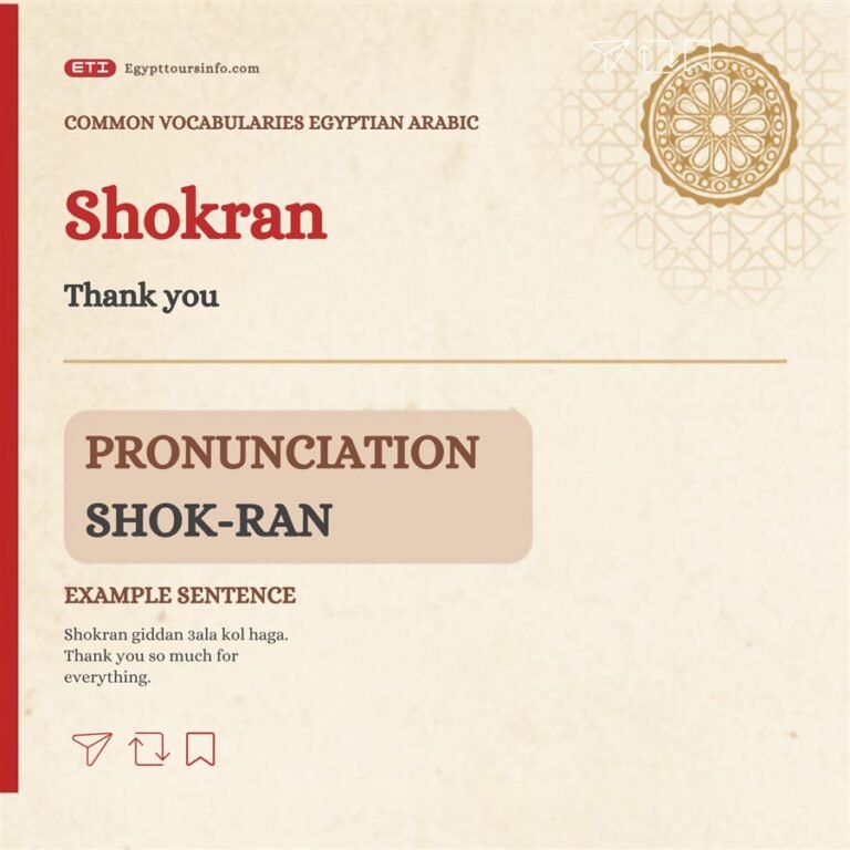 Shokran – Thank you in Egyptian Arabic