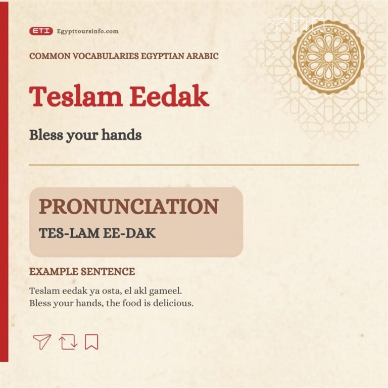 Teslam eedak – Bless your hands in Egyptian Arabic